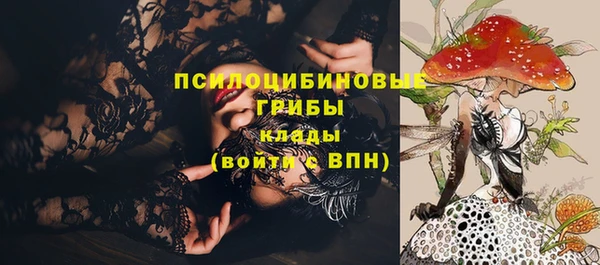 трава Мегион