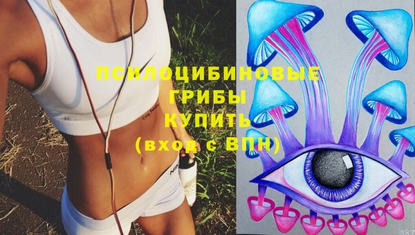 трава Мегион