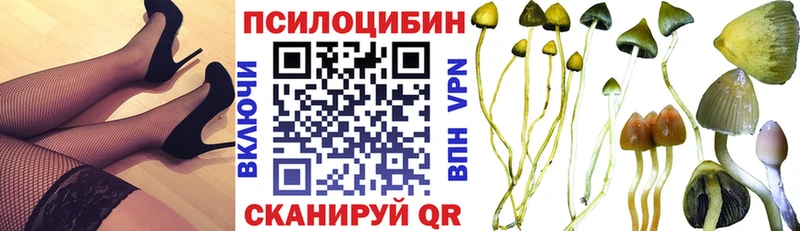 Галлюциногенные грибы Psilocybe  MEGA рабочий сайт  Чайковский 