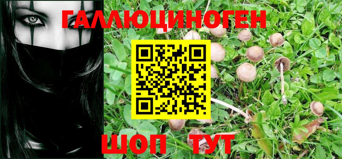Псилоцибиновые грибы Magic Shrooms Чайковский