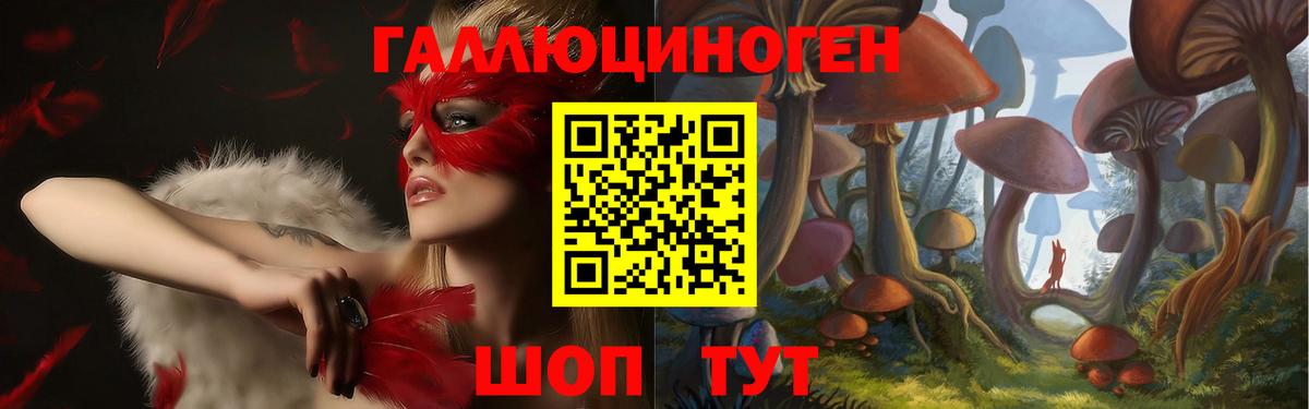 Псилоцибиновые грибы MAGIC MUSHROOMS  Чайковский  Псилоцибиновые грибы прущие грибы 